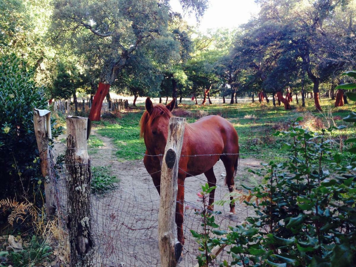 Agriturismo Pranu Sorgono エクステリア 写真