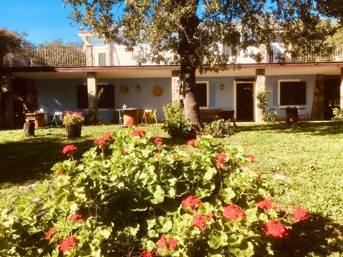 Agriturismo Pranu Sorgono エクステリア 写真